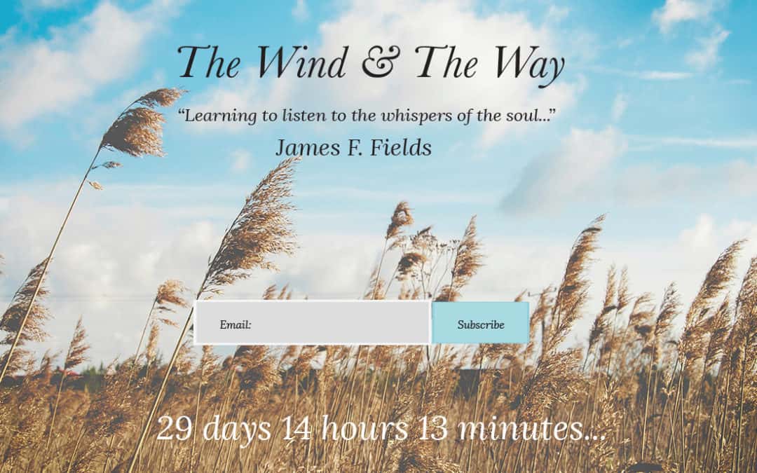 The Wind & The Way