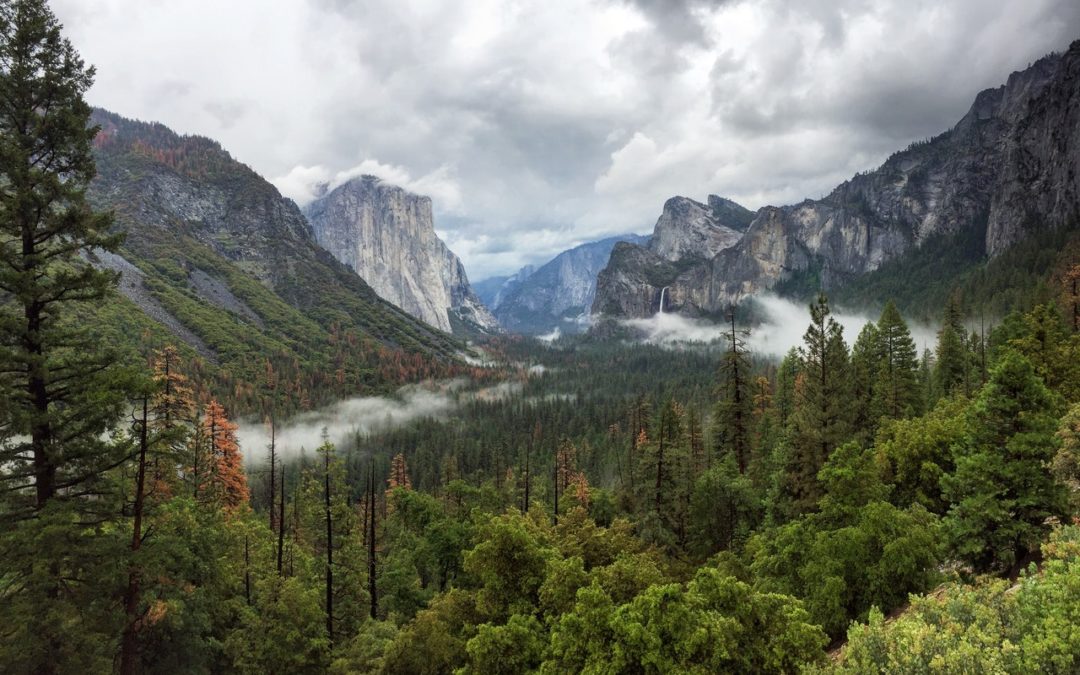Photo of Yosemite - Merced Web Design